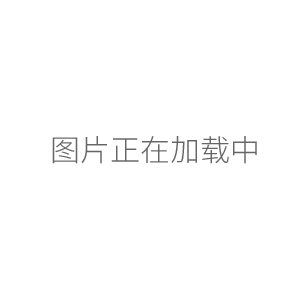 EX225DZH/AD微量天平十萬(wàn)分之一雙量程分析天平0.01mg/0.1mg